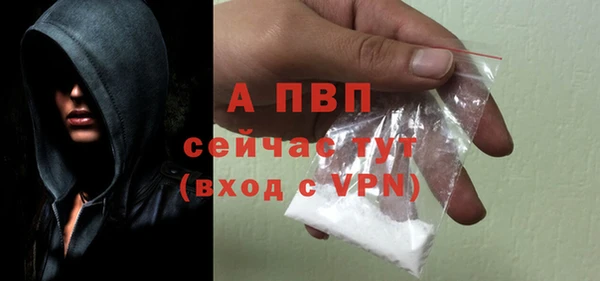 гашик Арсеньев