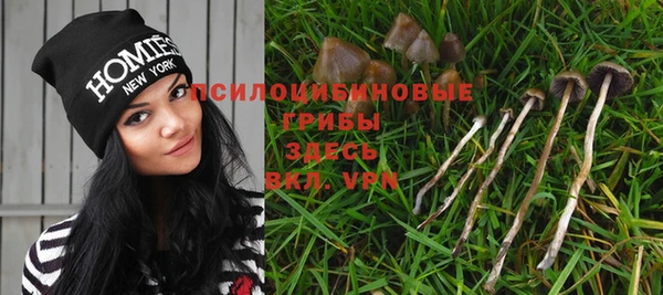каннабис Алзамай