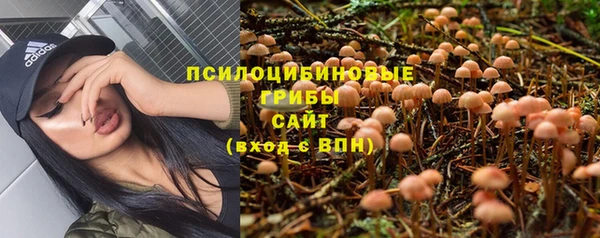 каннабис Алзамай