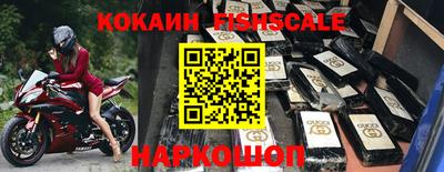 кокс Гатчина