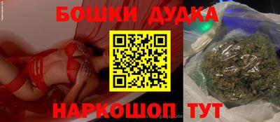 кокс Гатчина