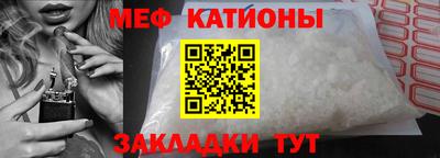 кокс Гатчина