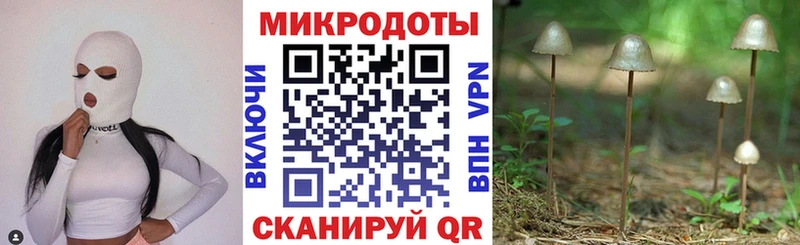 где можно купить наркотик  darknet формула  Галлюциногенные грибы Psilocybine cubensis  Междуреченск 