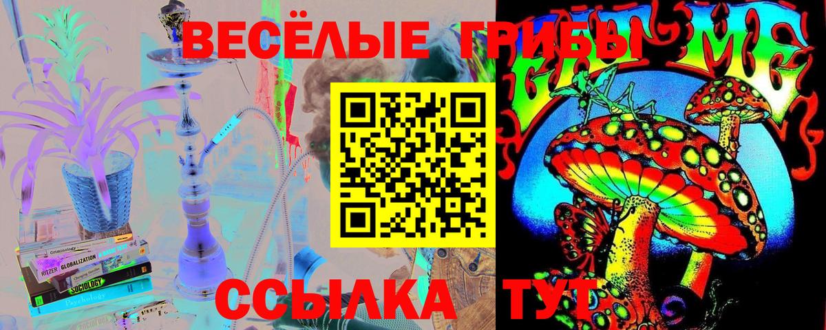 Псилоцибиновые грибы мухоморы Междуреченск