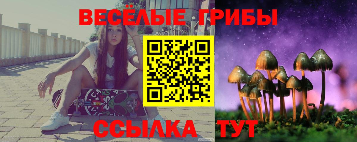 Междуреченск  Галлюциногенные грибы MAGIC MUSHROOMS  Вход с VPN 